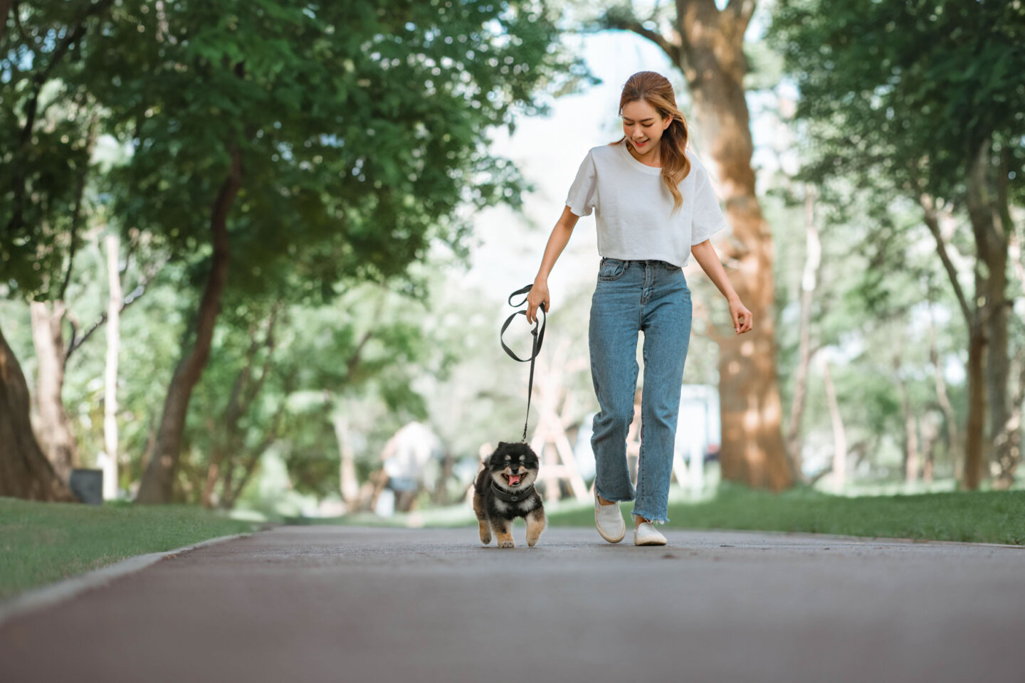 person walking a dog at pet-friendly apartments omaha ne